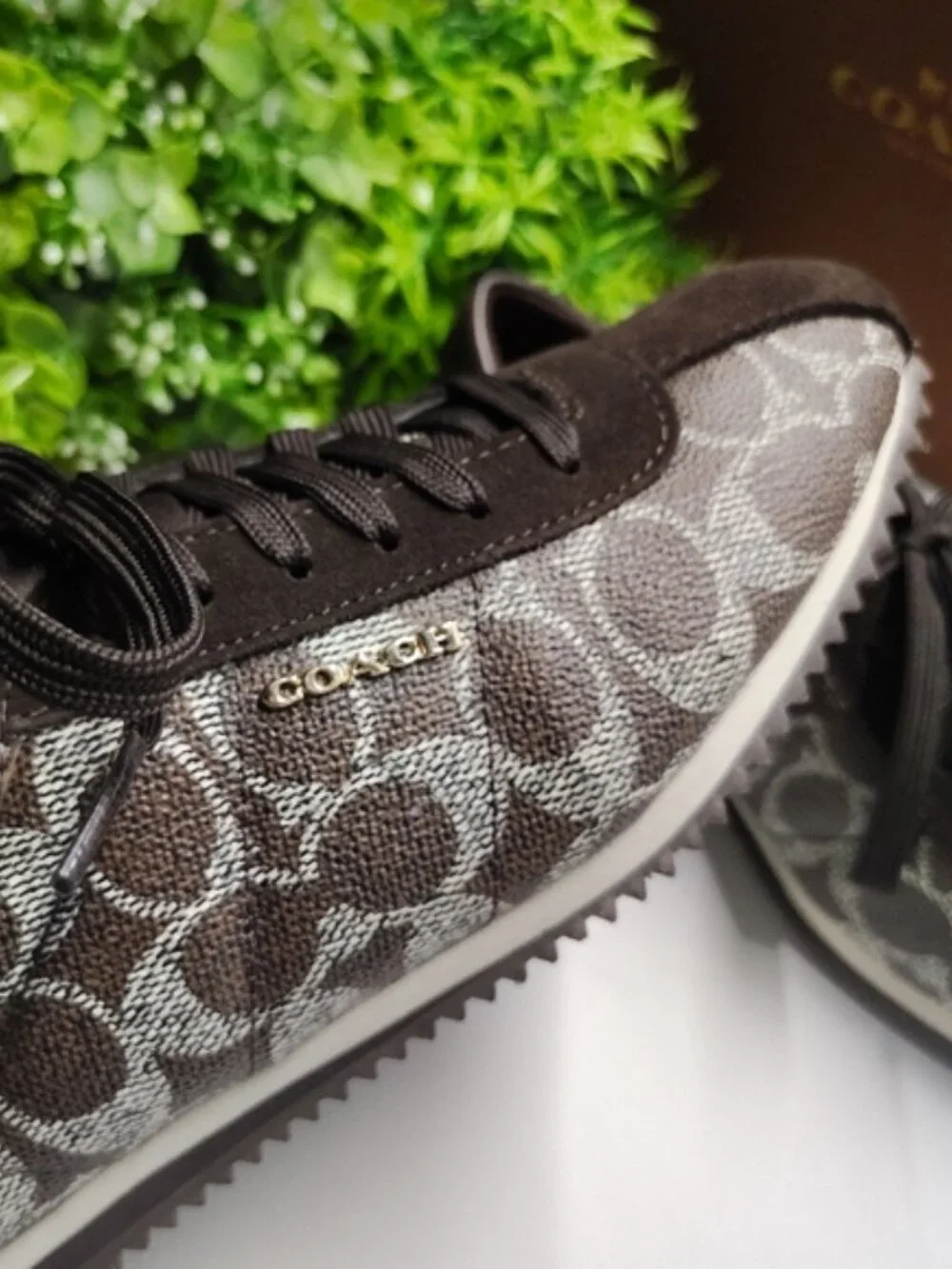 Coach Signature Monogram Sneakers Ivory Black Brown Leather Size 6.5 NIB